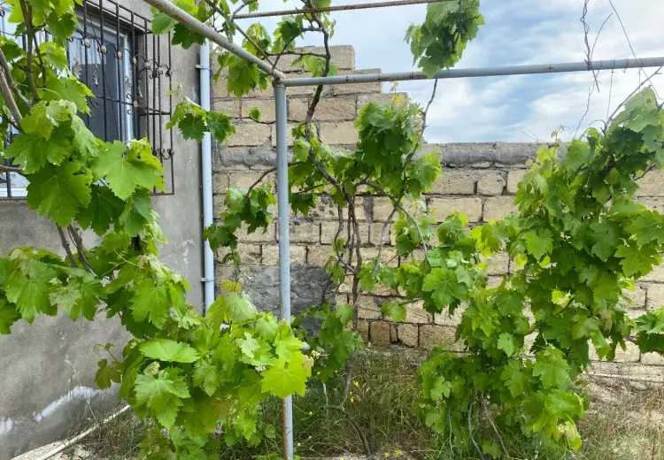 4 otaqlı mənzil , Bakı