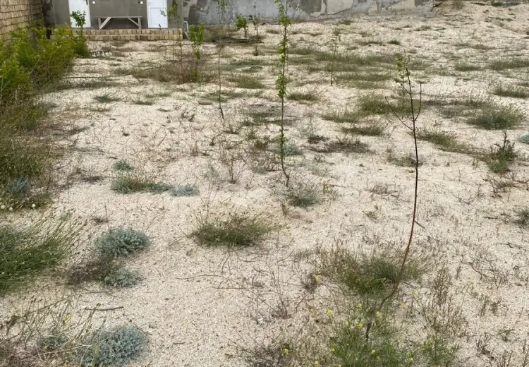 4 otaqlı mənzil , Bakı