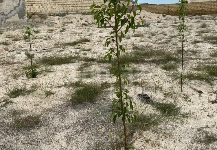 4 otaqlı mənzil , Bakı