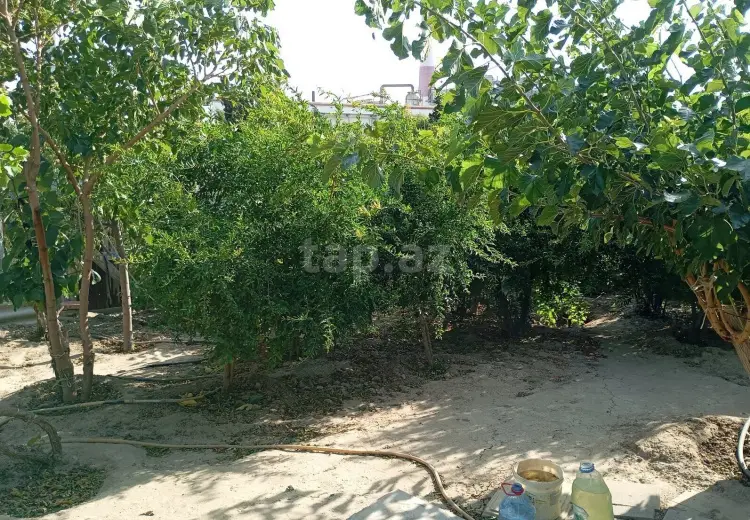 0 m² Obyekt / Ofis , Sumqayıt