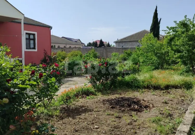0 m² Obyekt / Ofis , Mərdəkan, Xəzər, Bakı