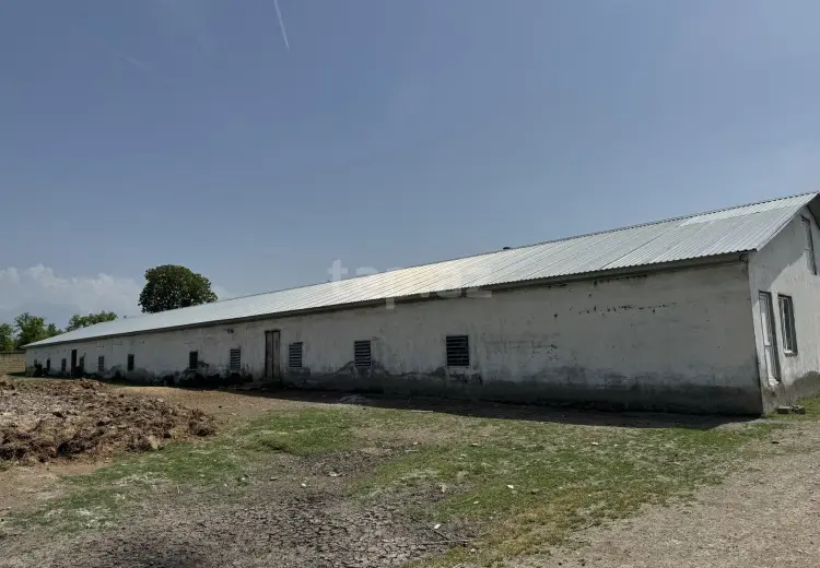 0 m² Obyekt / Ofis , Oğuz