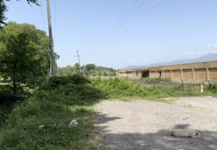 0 m² Obyekt / Ofis , Oğuz