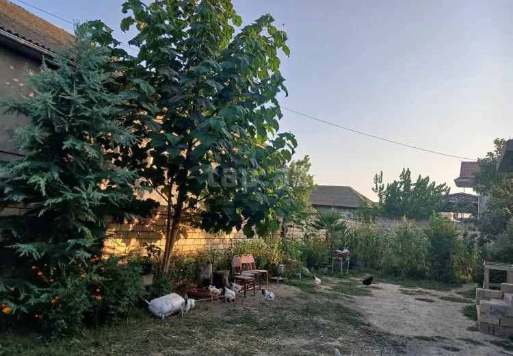 5 otaqlı mənzil , Biləsuvar
