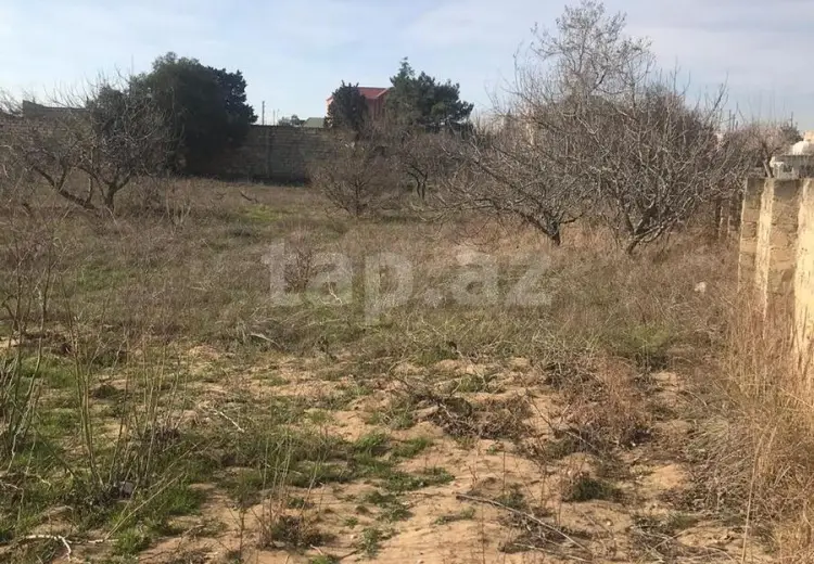 0 m² Obyekt / Ofis , Nardaran qəs., Sabunçu, Bakı