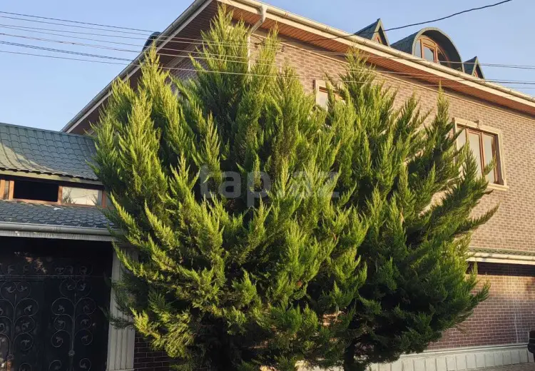 7 otaqlı mənzil , Xaçmaz