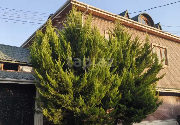 7 otaqlı mənzil , Xaçmaz