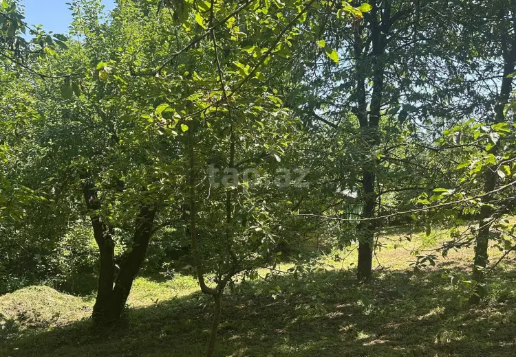3 otaqlı mənzil , Quba
