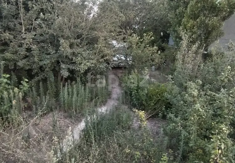 0 m² Obyekt / Ofis , Binə qəs., Xəzər, Bakı