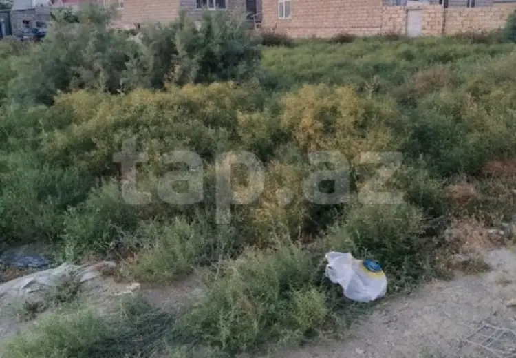 0 m² Obyekt / Ofis , Bakı