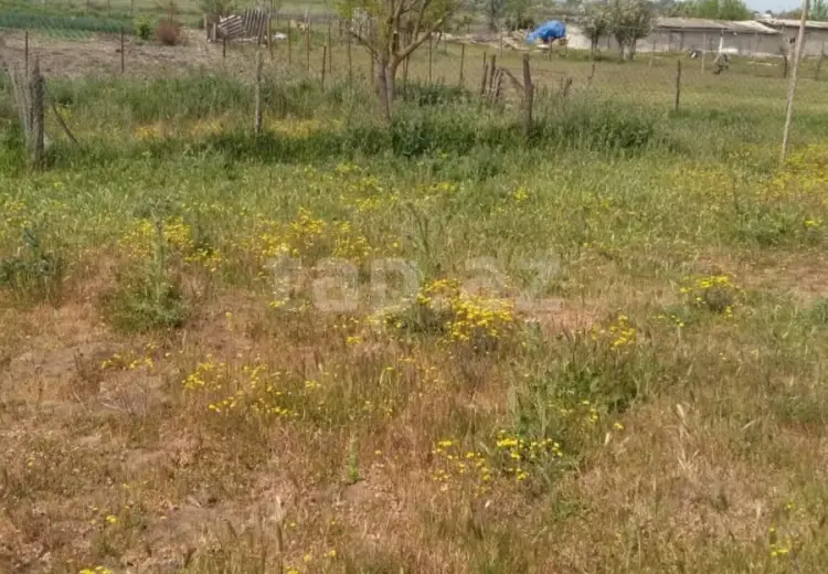 4 otaqlı mənzil , Xaçmaz