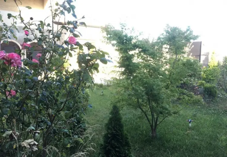 8 sot Torpaq Satılır, Badamdar qəs., Səbail, Bakı