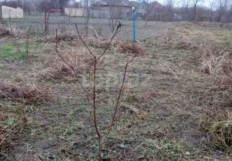 0 m² Obyekt / Ofis , Xaçmaz