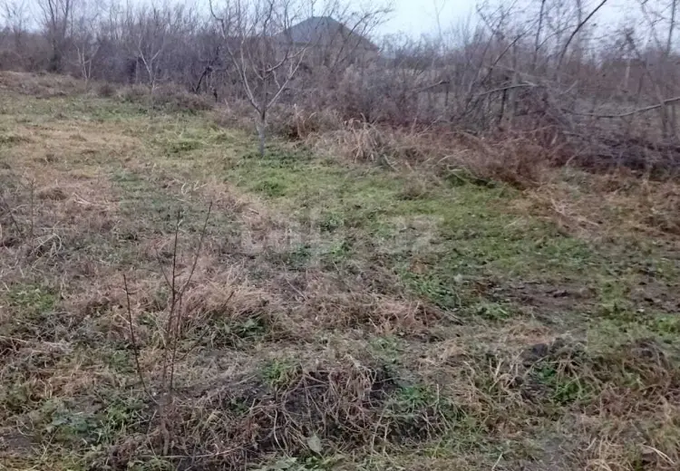 0 m² Obyekt / Ofis , Xaçmaz