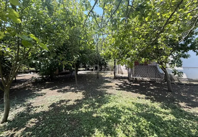 4 otaqlı mənzil , Zaqatala