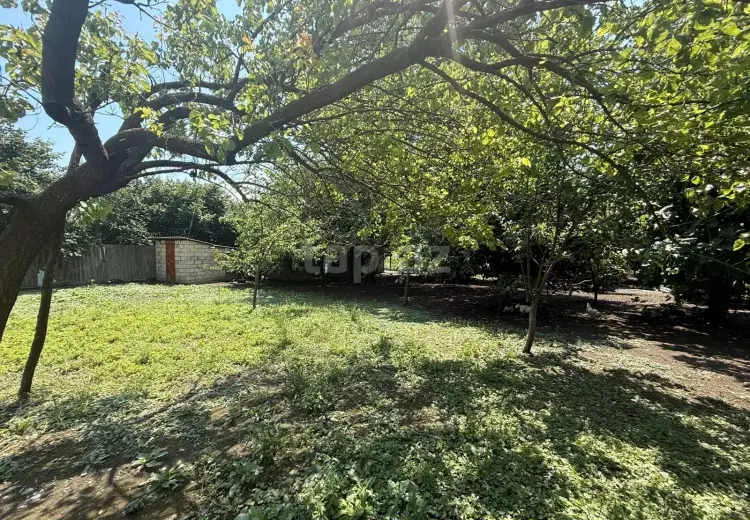 4 otaqlı mənzil , Zaqatala