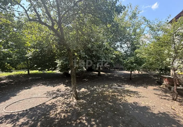 4 otaqlı mənzil , Zaqatala