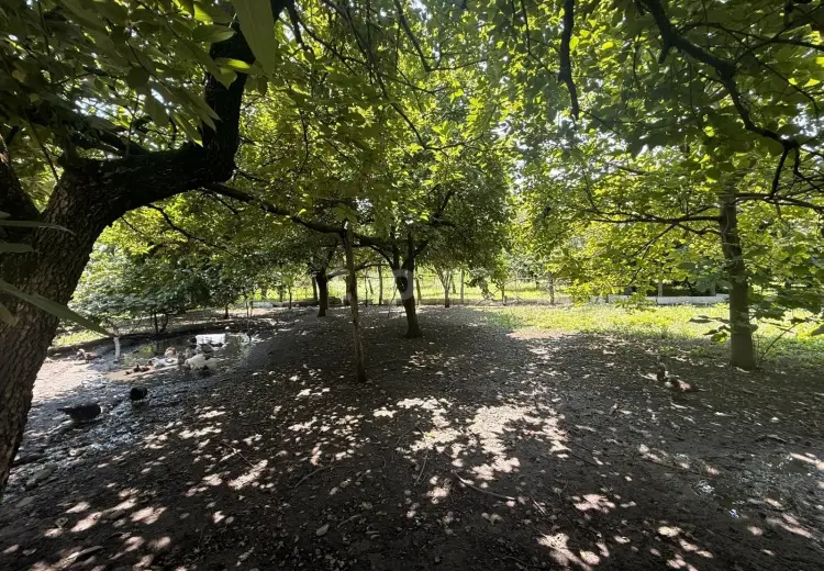 4 otaqlı mənzil , Zaqatala