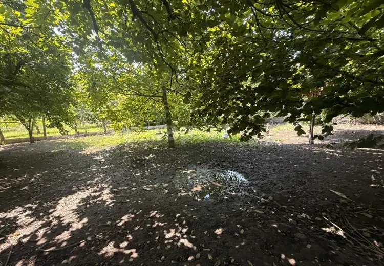 4 otaqlı mənzil , Zaqatala