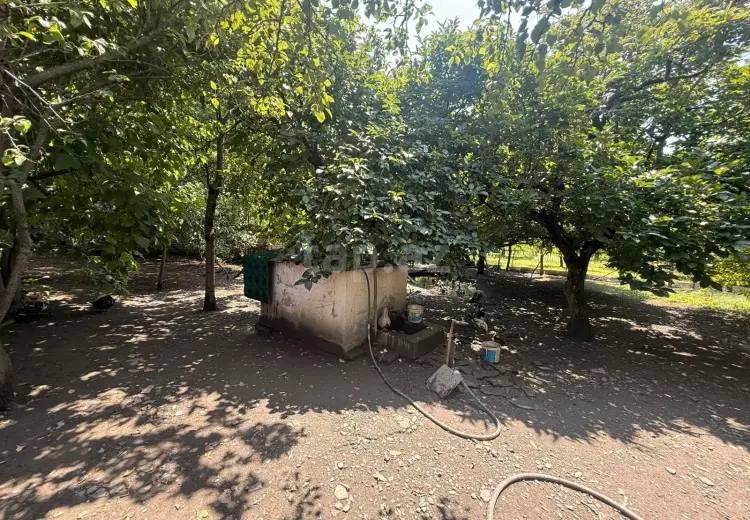 4 otaqlı mənzil , Zaqatala