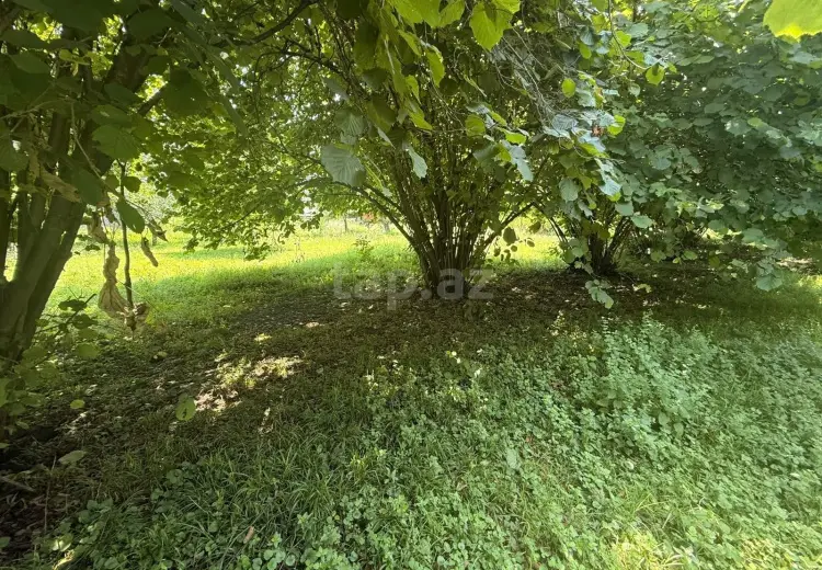 4 otaqlı mənzil , Zaqatala