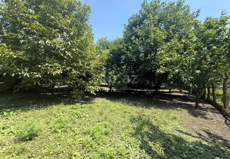 4 otaqlı mənzil , Zaqatala