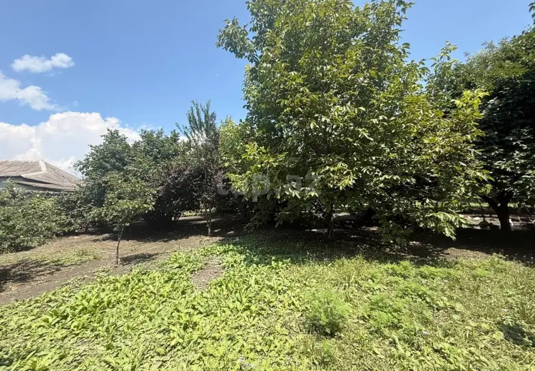 4 otaqlı mənzil , Zaqatala