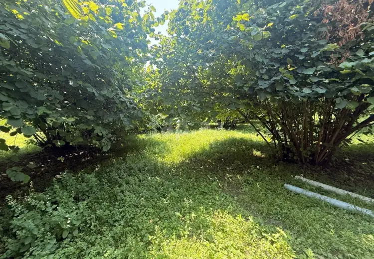 4 otaqlı mənzil , Zaqatala