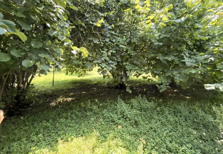 4 otaqlı mənzil , Zaqatala