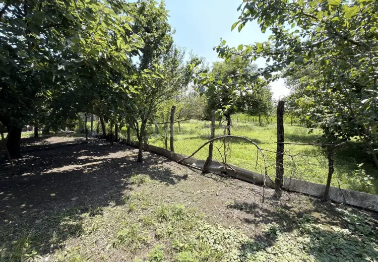 4 otaqlı mənzil , Zaqatala