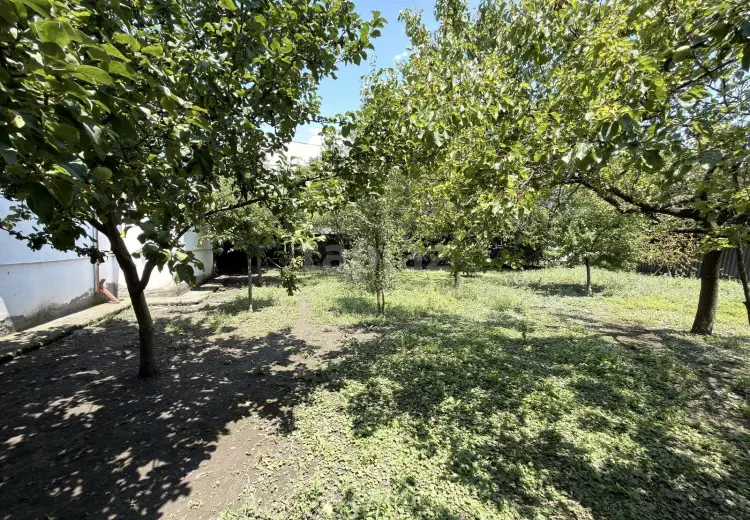 4 otaqlı mənzil , Zaqatala