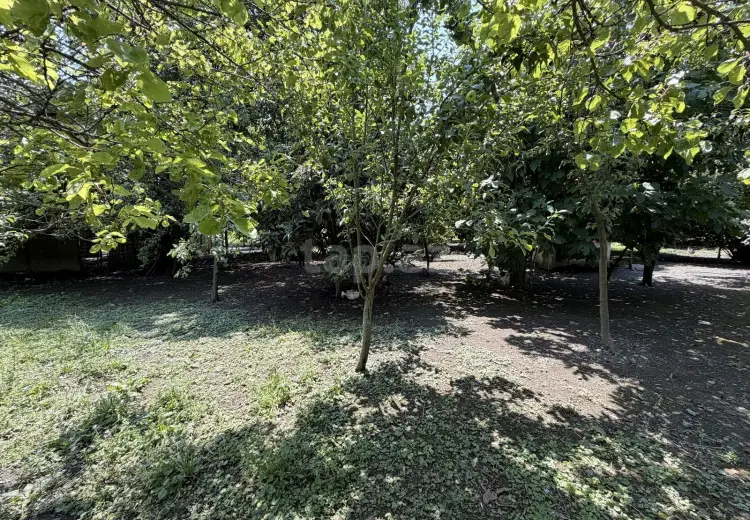 4 otaqlı mənzil , Zaqatala