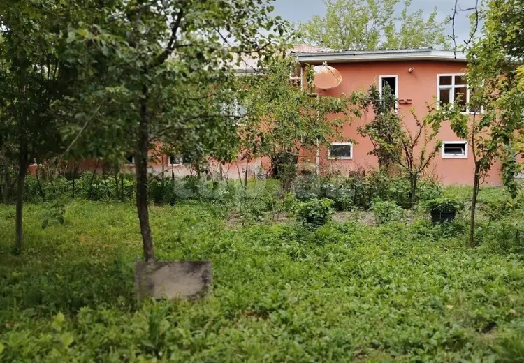 6 otaqlı mənzil , Şəki