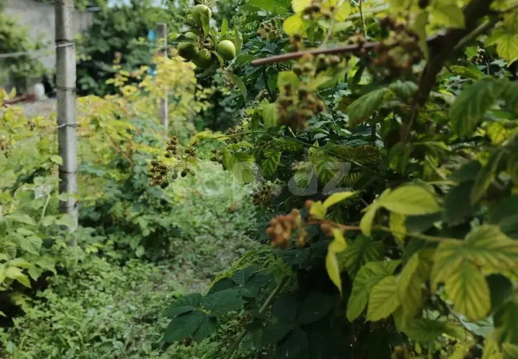 6 otaqlı mənzil , Şəki