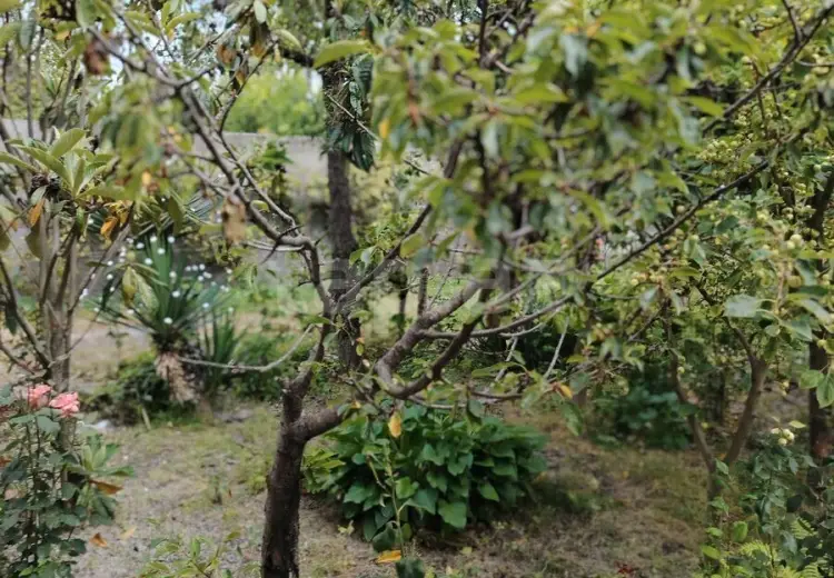 6 otaqlı mənzil , Şəki