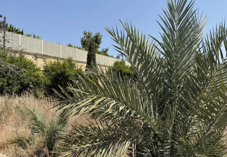 17 sot Torpaq Satılır, Şüvəlan, Xəzər, Bakı