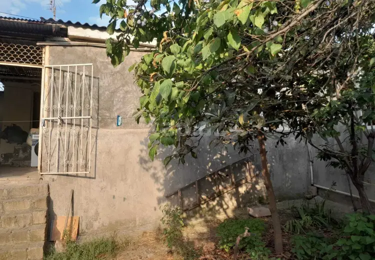 3 otaqlı mənzil , Gəncə