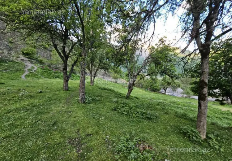8 sot Torpaq Satılır, Qəbələ