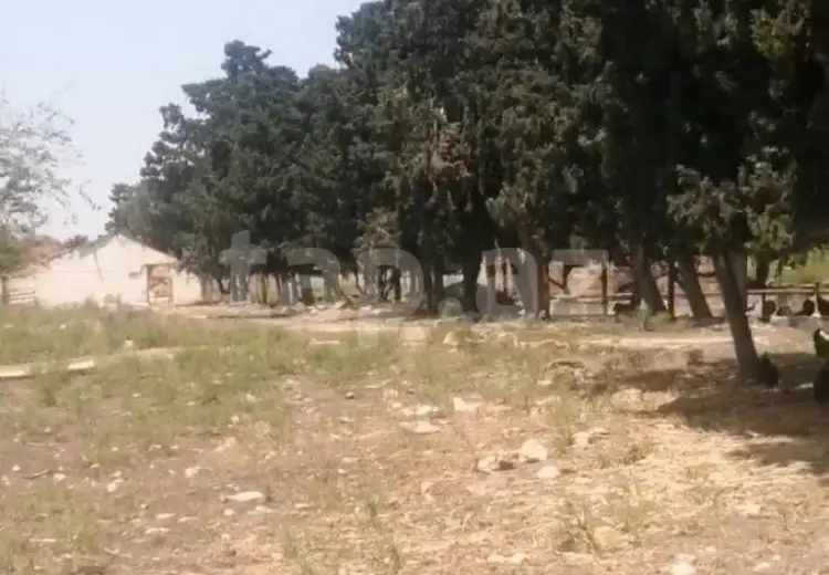 0 m² Obyekt / Ofis , Buzovna, Xəzər, Bakı