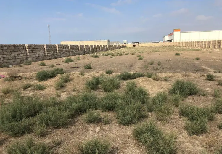 600 sot Torpaq Satılır, Pirşağı qəs., Sabunçu, Bakı