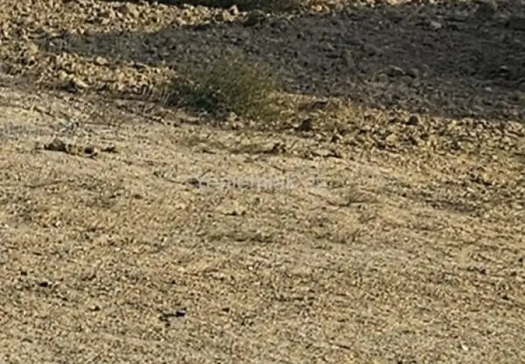 60 sot Torpaq Satılır, Badamdar qəs., Səbail, Bakı
