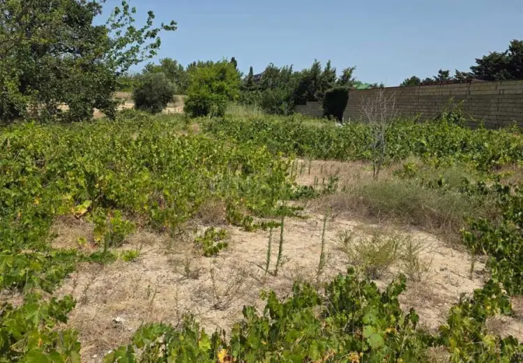 3.2 sot Torpaq Satılır, Goradil, Abşeron