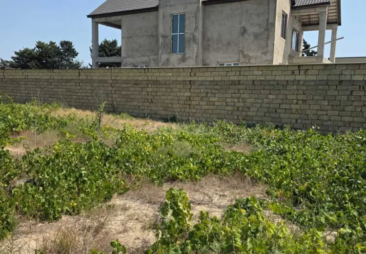 3.2 sot Torpaq Satılır, Goradil, Abşeron