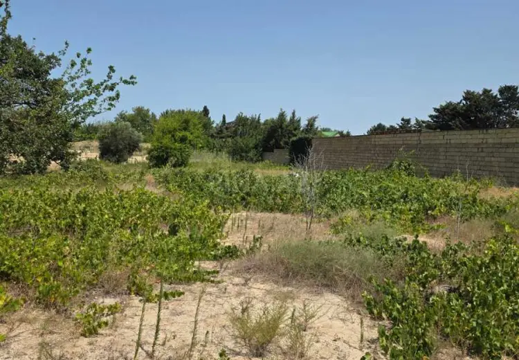 3.2 sot Torpaq Satılır, Goradil, Abşeron