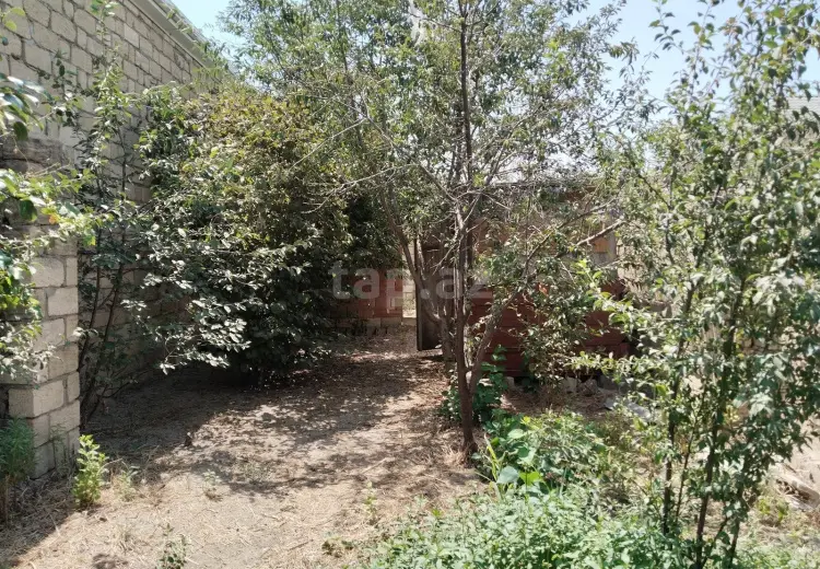 3 otaqlı mənzil , Sumqayıt