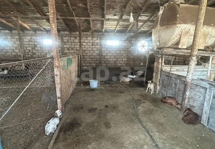 0 m² Obyekt / Ofis , Sumqayıt