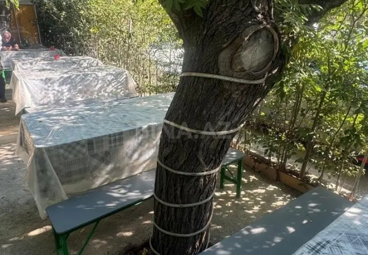 60 m² Obyekt / Ofis Satılır, Böyükşor qəs., Nərimanov, Bakı