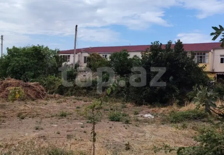 0 m² Obyekt / Ofis , Şabran