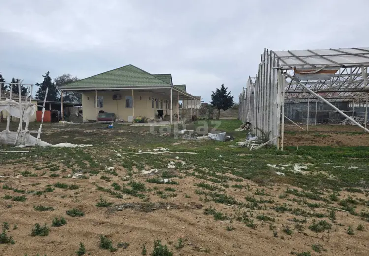 0 m² Obyekt / Ofis , Buzovna, Xəzər, Bakı