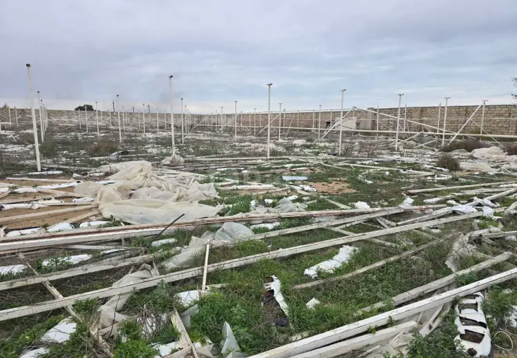 0 m² Obyekt / Ofis , Buzovna, Xəzər, Bakı